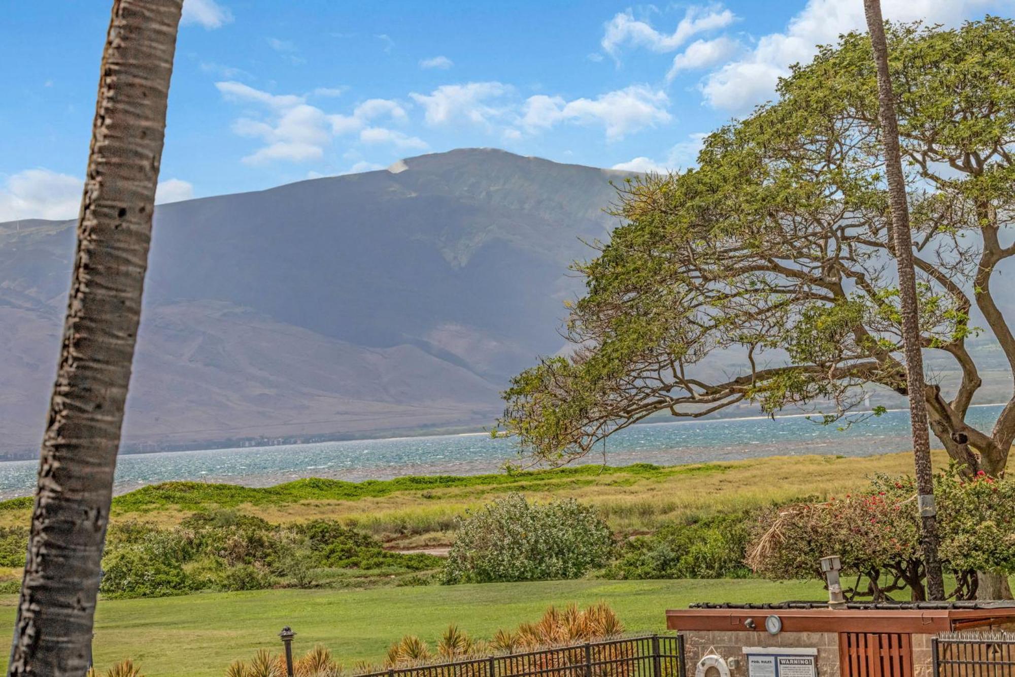 Kauhale Makai 230 Apartman Kihei Kültér fotó